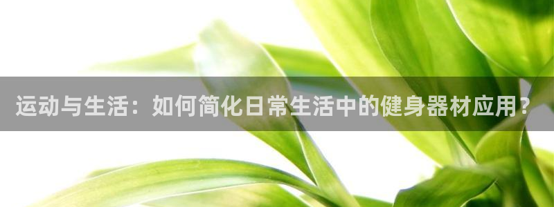 征途国际集团E.ON:运动与生活:如何简化日常生活中的健身器